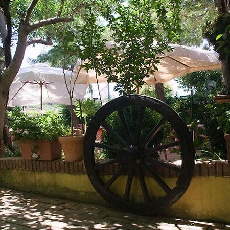Hotel Ristorante Solari Briatico Exterior photo